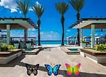 Find 100 Butterflies
