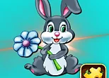 Rabbit Jigsaw Puzzle