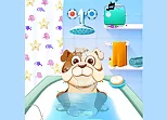 Animal Daycare Games