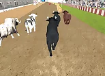 Angry Bull Racing