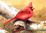 Art Birds Puzzle