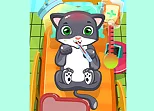 Cat Doctor
