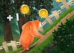 Bears Adventures