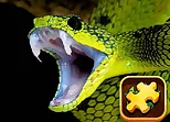 Snake Puzzle Challenge