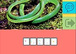 Picture Quiz