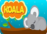 EG Koala