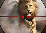 wild life hunting