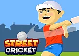 Street Cricket