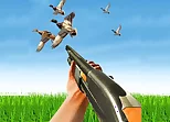 BIRD HUNTING Gun Fire Shooter