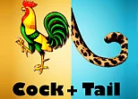 2 pics 1 word