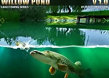 Willow Pond Fishing