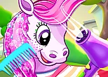 Pony Pet Salon