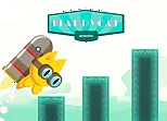 Flappy Cat