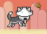 MR JUMP HUSKY