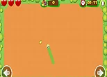 Fruit Snake