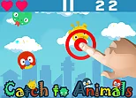 Catch to Animals