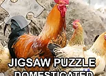 Jigsaw Puzzle Domesticated Animals