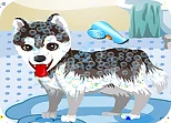 My Cute Dog Bathing