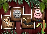 Animal Shapes 3