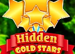 Hidden Gold Stars