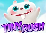 Tiny Rush