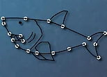 Connecting and Drawing