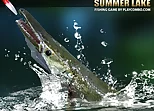 Summer lake
