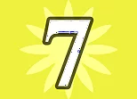 Number 7