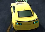 Rac Simulator