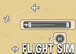 Flight Sim