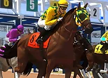 Horse Racing