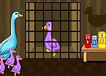 Duck Family Rescue Series Final