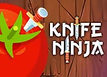 Knife Shadow Ninja