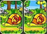 Insects Photo Differences