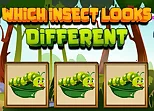 Which Insect Looks Different
