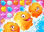 Shell Splash