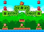 Super Kiwi Adventure - 2021
