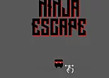 Ninja escape