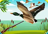 Duck Hunting Simulator