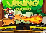 Viking Dragons