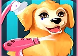 Puppy