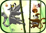 Monkeys