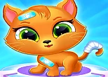Little Cat Doctor Care