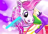 Pony Pet Salon Game