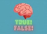 True or false quiz