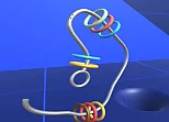 Make Rings Off
