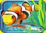 Fish Farm - Aquarium Simulator