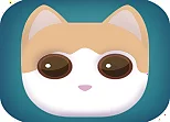 Stretch Cat