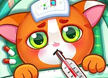 doctor pets hospital