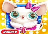 Miss Hollywood: Pet Paradise Adventure Game online